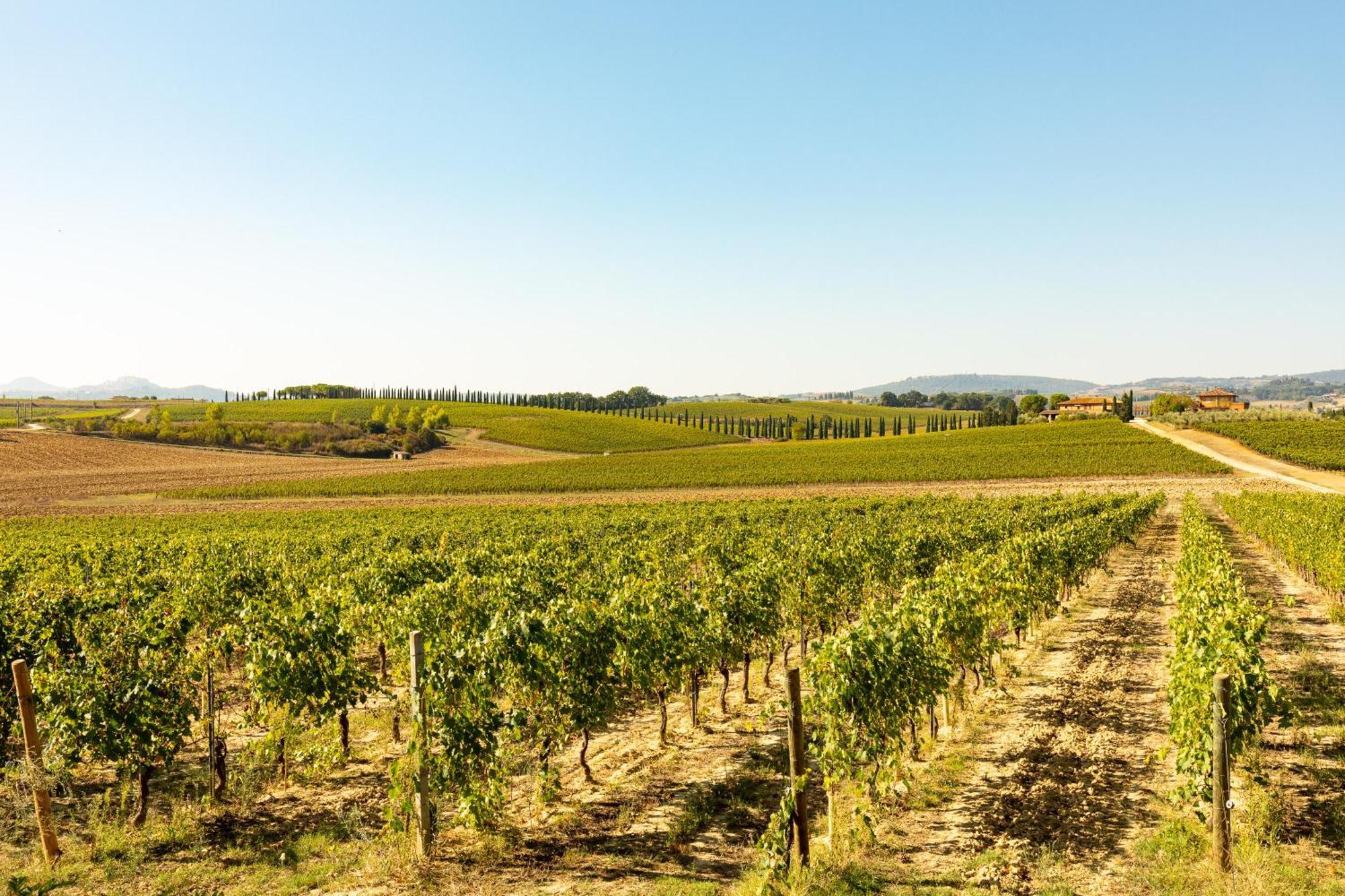 Vermentino Villa Montepulciano Luaran gambar